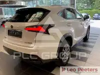 2017 Lexus NX300