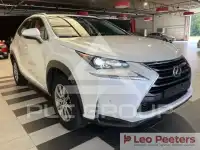 2017 Lexus NX300
