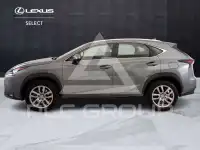 2017 Lexus NX300