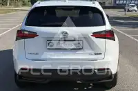 2017 Lexus NX300