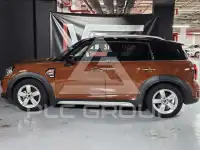 2017 Mini Unknown