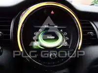 2017 Mini Unknown