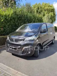 2017 Peugeot Traveller