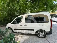 2017 Peugeot Partner