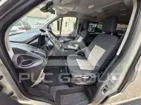 2017 Ford Tourneo