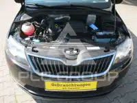 2018 Skoda Rapid