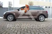 2018 Skoda Rapid