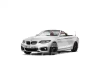 2018 BMW 220