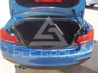 2018 BMW 225