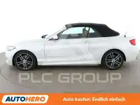 2018 BMW 225