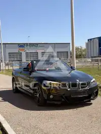 2018 BMW 225