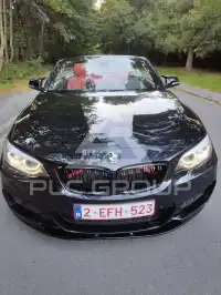 2018 BMW 218