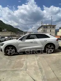 2018 Audi Q8