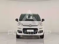 2018 Fiat Panda