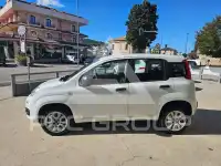 2018 Fiat Panda