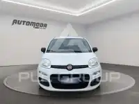2018 Fiat Panda