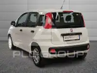 2018 Fiat Panda