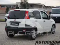2018 Fiat Panda