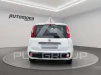 2018 Fiat Panda