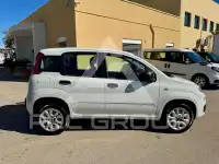 2018 Fiat Panda