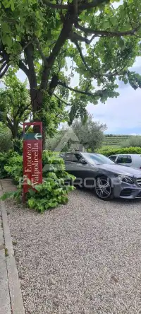 2018 Mercedes Benz E 220