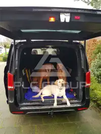 2018 Mercedes Benz V