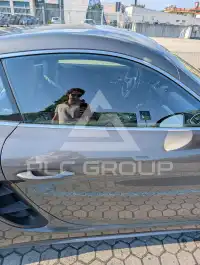 2018 Porsche 718