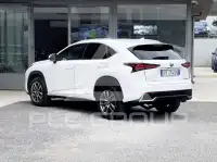 2018 Lexus NX300