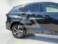 2018 Lexus NX300