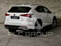 2018 Lexus NX300