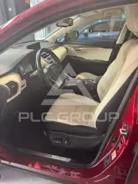 2018 Lexus NX300