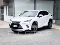 2018 Lexus NX300