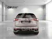 2018 Lexus NX300