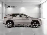 2018 Lexus NX300