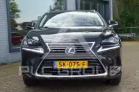 2018 Lexus NX300