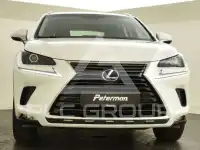 2018 Lexus NX300