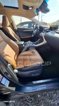 2018 Lexus NX300