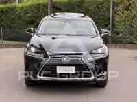 2018 Lexus NX300