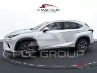 2018 Lexus NX300