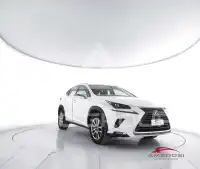 2018 Lexus NX300