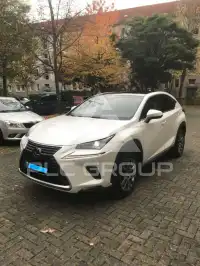 2018 Lexus NX300