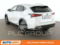 2018 Lexus NX300