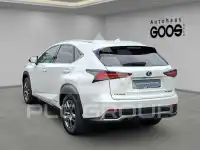 2018 Lexus NX300