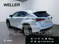2018 Lexus NX300