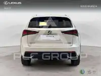 2018 Lexus NX250
