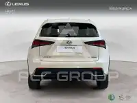 2018 Lexus NX250