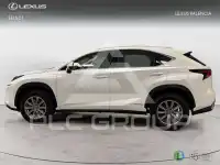2018 Lexus NX250