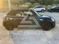 2018 Mini Unknown