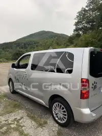 2018 Peugeot Traveller