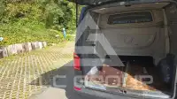 2018 Volkswagen T6
